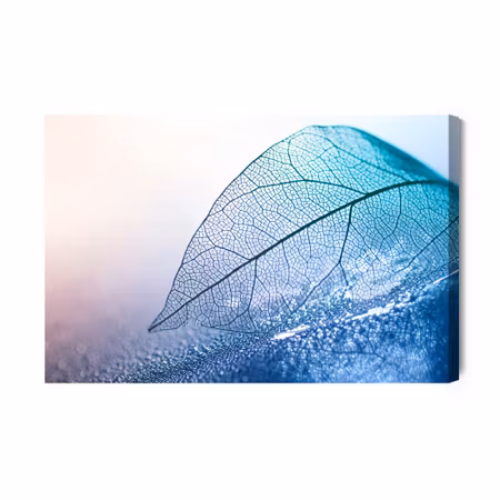 Canvastavla - Leaf in Macro Scale in Blue Shades