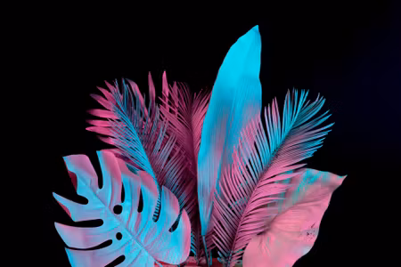Canvastavla - Neon Tropical Leaves on a Black