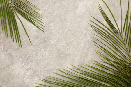 Canvastavla - Palm Leaves on a Concrete Background