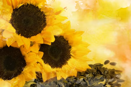 Canvastavla - Flowers and Sunflower Seeds Painted