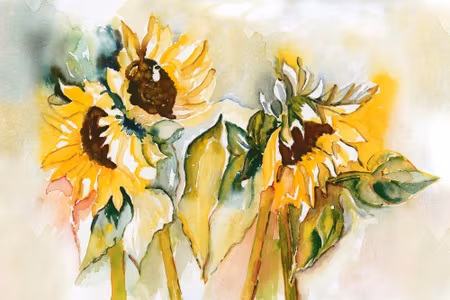 Canvastavla - Watercolor Sunflowers