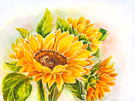 Canvastavla - Watercolor Sunflower Flowers