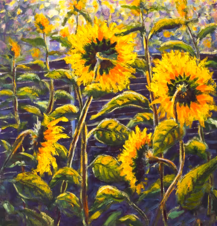 Canvastavla - Sunflower Flowers As Painted