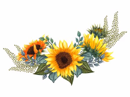 Canvastavla - Sunflowers with Leaves on a White