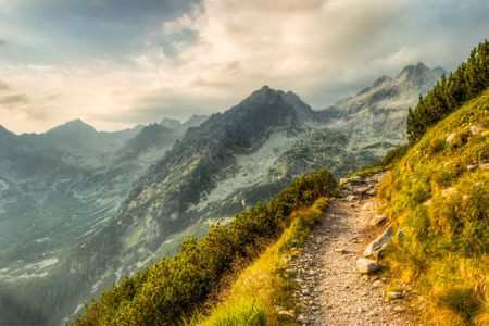 Canvastavla - The Path in the Mountains