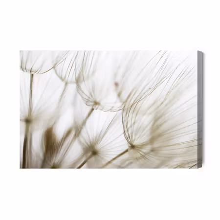 Canvastavla - Dandelion Seeds