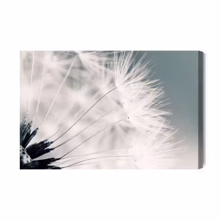 Canvastavla - Dandelion Seeds