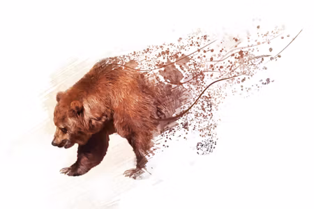 Canvastavla - Bear As Painted