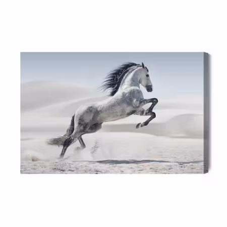 Canvastavla - Horse in the Desert