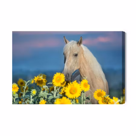 Canvastavla - Horse and Sunflowers
