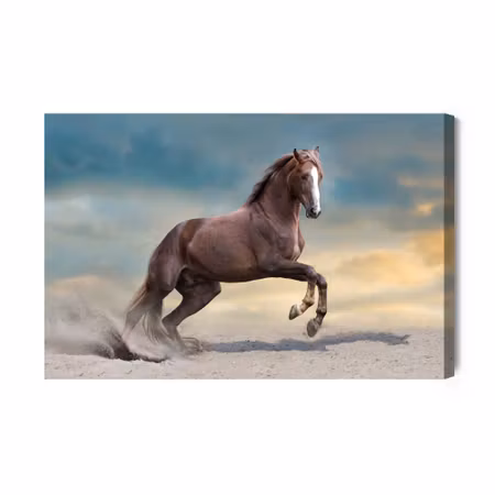 Canvastavla - Majestic Horse in the Desert
