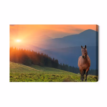 Canvastavla - Horse on the Background of the