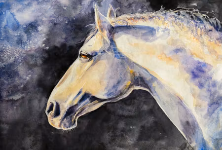 Canvastavla - A Light Horse on a Dark Background