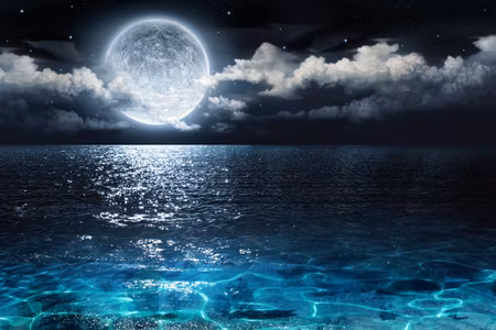 Canvastavla - Sea At Night with the Moon
