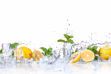 Canvastavla - Multipart Mint Leaves with Lemons