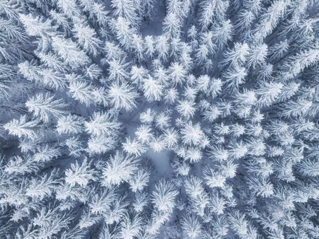 Canvastavla - Multipart Aerial View of the Winter