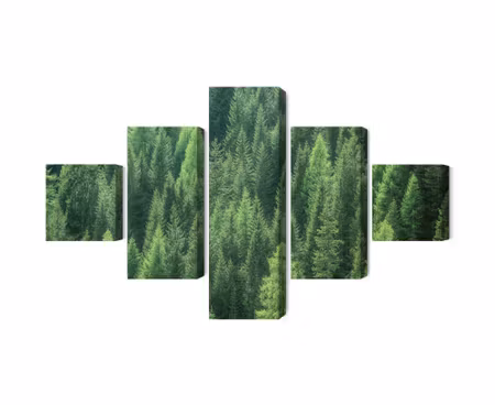 Canvastavla - Multipart D Green Forest View