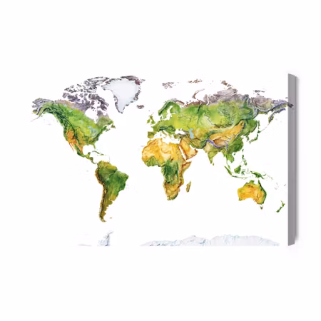 Canvastavla - Physical Map of the World