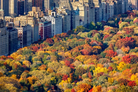 Canvastavla - Central Park Aerial View