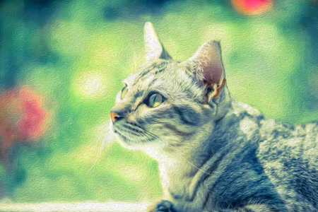 Canvastavla - The Cat Looks Like a Painted One