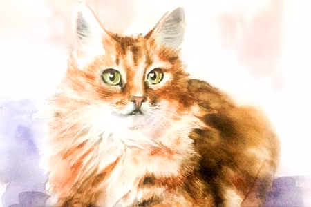 Canvastavla - A Cat Like Painted in Watercolor