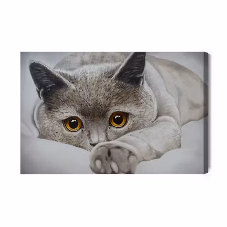 Canvastavla - Gray Cat Like Painted