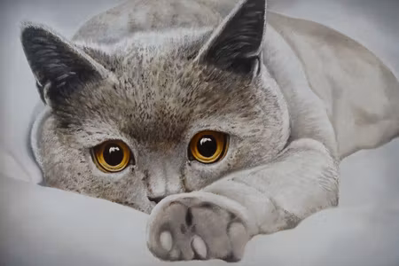 Canvastavla - Gray Cat Like Painted