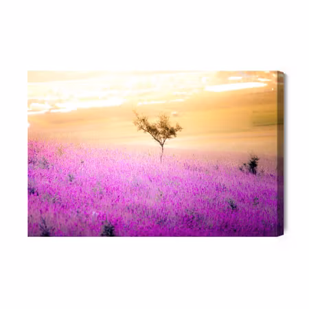 Canvastavla - A Tree in the Center of a Lavender