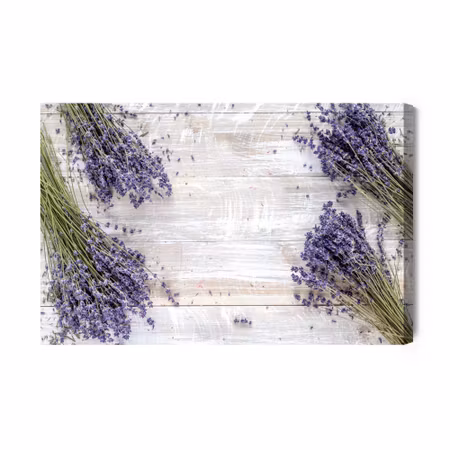 Canvastavla - Lavender Flowers on the Background