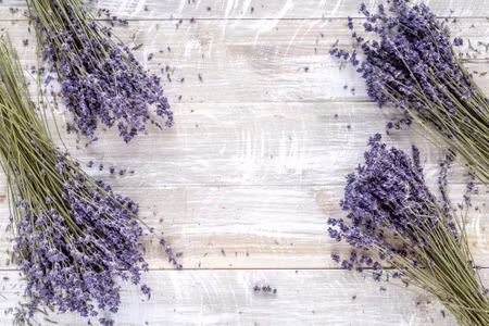 Canvastavla - Lavender Flowers on the Background