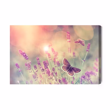 Canvastavla - Butterflies and Lavender Flowers