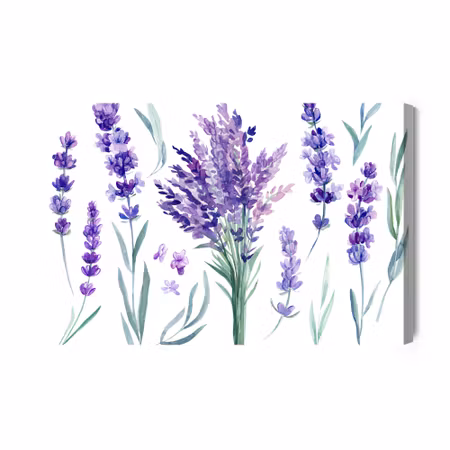 Canvastavla - Blooming Lavender Painted with