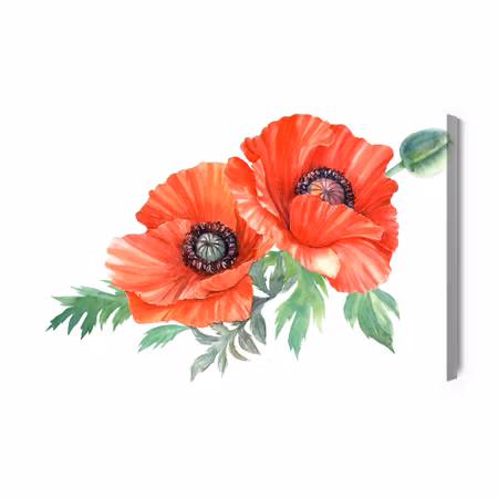 Canvastavla - Red Poppies Painted with Watercolor