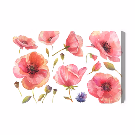 Canvastavla - Wild Poppies Painted in Watercolor
