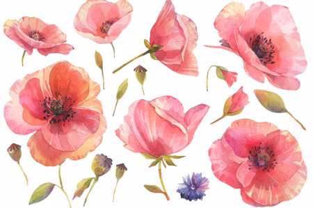 Canvastavla - Wild Poppies Painted in Watercolor