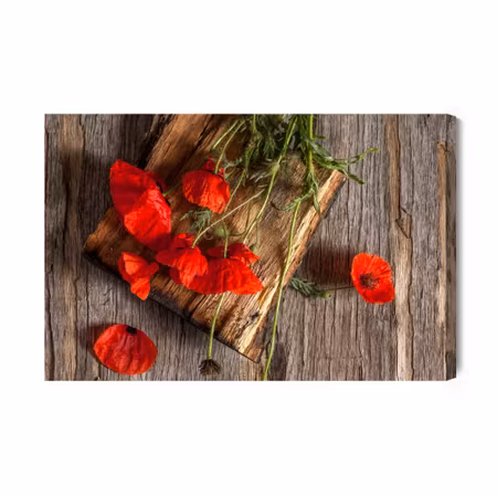 Canvastavla - Wild Poppies on the Background of