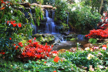 Canvastavla - Waterfall in a Tropical Garden