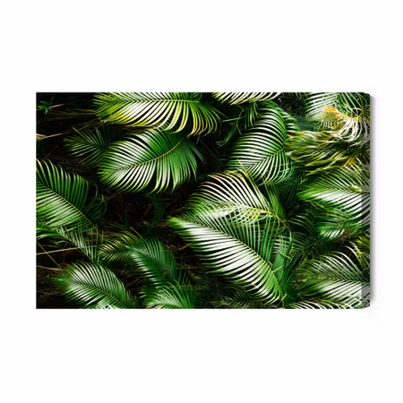 Canvastavla - Green Palm Leaves