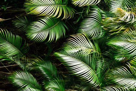 Canvastavla - Green Palm Leaves