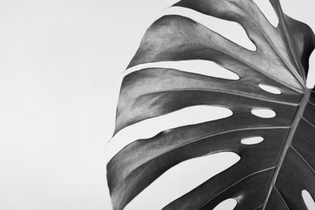 Canvastavla - Monstera Leaf in Black and White
