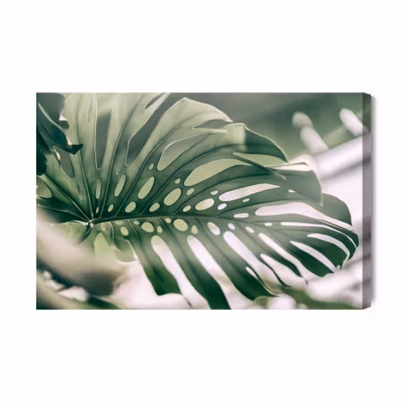 Canvastavla - Monstera Leaf Close Up
