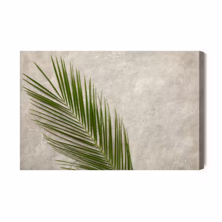 Canvastavla - Palm Leaf on a Concrete Background
