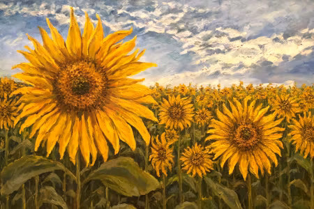 Canvastavla - Sunflower Field As Painted D