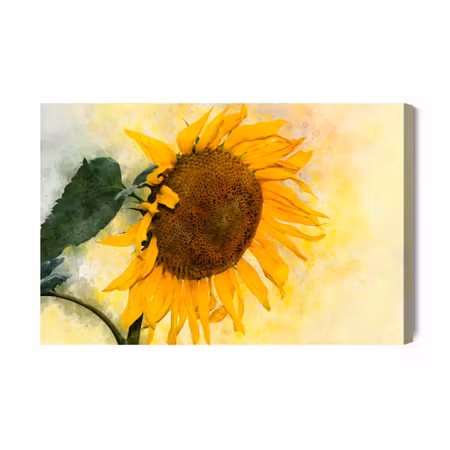 Canvastavla - Watercolor Sunflower Flower