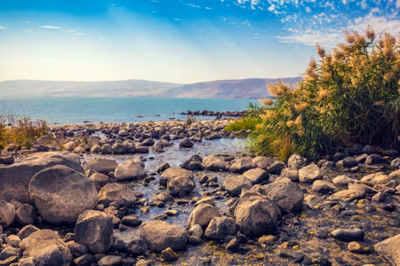 Canvastavla - Sea and Mountain Landscape