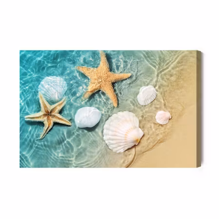 Canvastavla - Stars and Seashells in the Sea