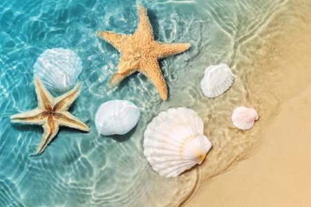 Canvastavla - Stars and Seashells in the Sea