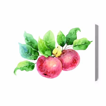 Canvastavla - Apples Painted with Watercolor