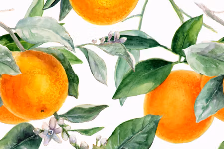 Canvastavla - Oranges on the Branches