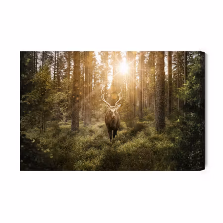 Canvastavla - Deer and the Sun Amp S Rays
